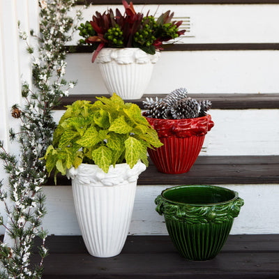 Rustic Garden White Acanthus Leaf Small Cachepot