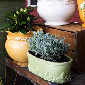 Rustic Garden Basil Oval Planter