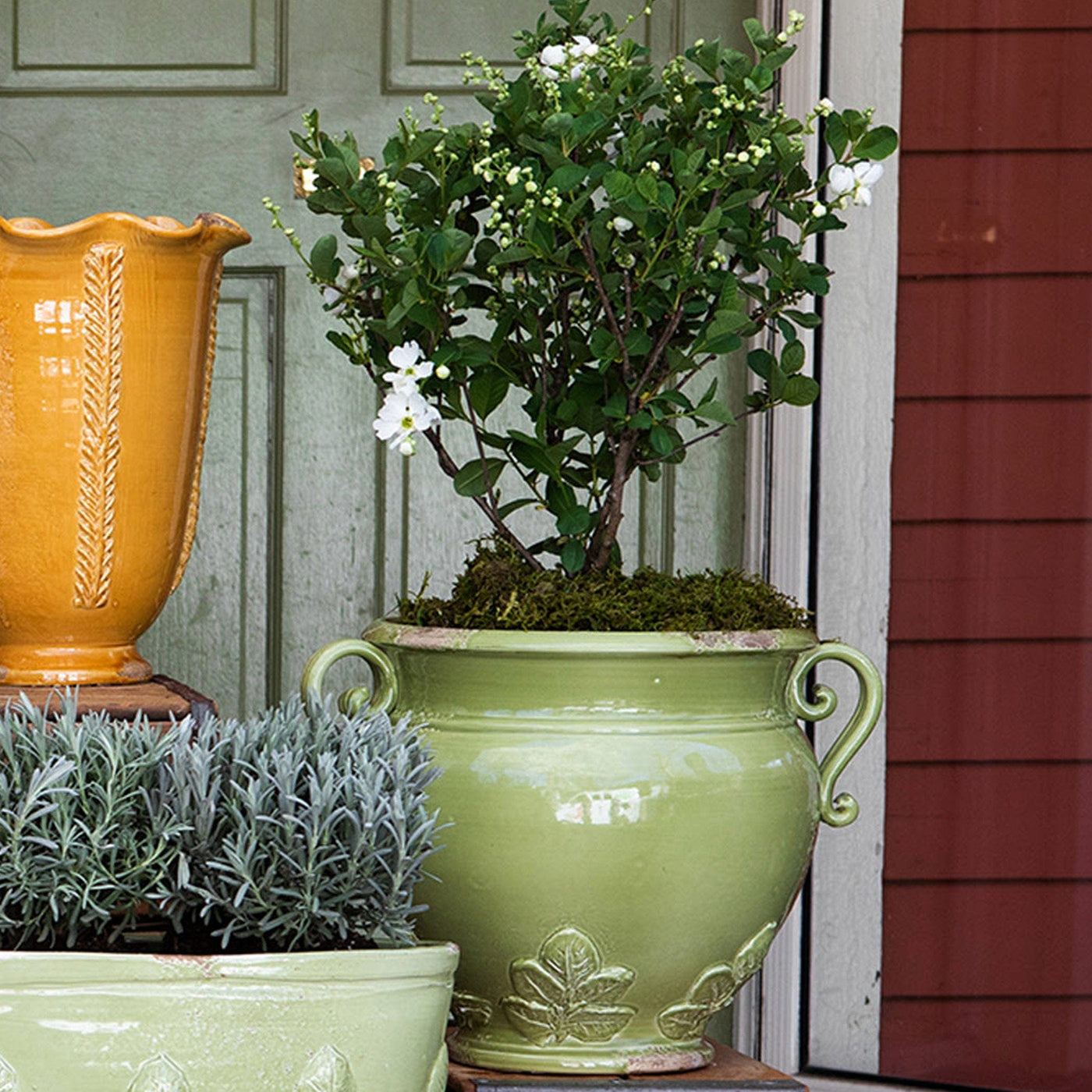 Rustic Garden Pistachio Basil Round Planter