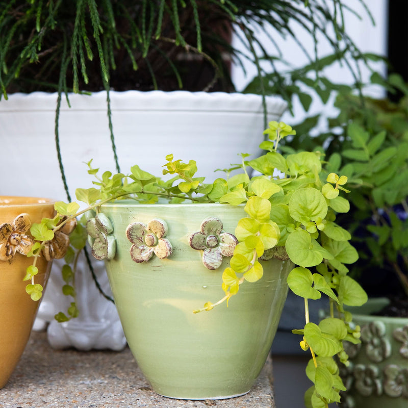 Rustic Garden Small Cachepot