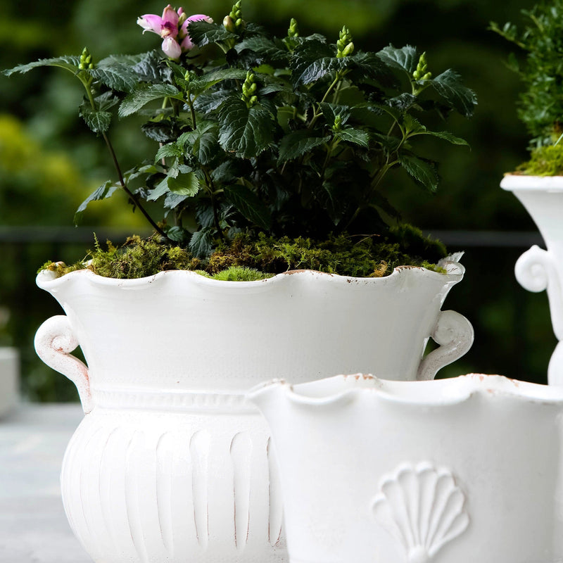 Rustic Garden White Large Scallop Planter